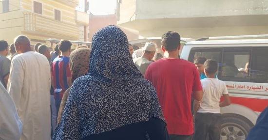 مصرع طفل صدمته سيارة نقل على طريق تمى الأمديد بالدقهلية
