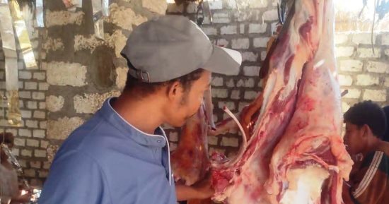 الطب البيطرى بأسوان تكثف حملاتها التفتيشية على أسواق اللحوم