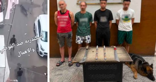 ضبط المتهمين بالتشاجر بألعاب نارية وكلب في الإسكندرية