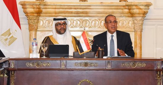 وزير الخارجية يعقد جلسة موسعة مع ممثلى القطاع الخاص