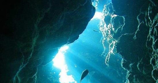 عمقه يصل لـ 200 متر.. عرق سمية موقع غوص عالمى بمحمية الجزر الشمالية.. صور