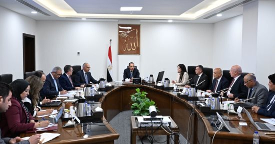 رئيس الوزراء يتابع الموقف التنفيذى لمشروعات مياه الشرب والصرف الصحى بأسوان