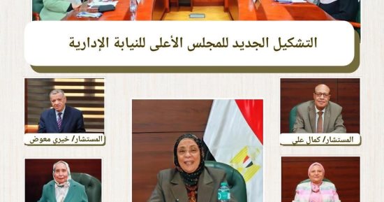المجلس الأعلى للنيابة الإدارية يجتمع برئاسة المستشارة هدى أحمد عيسى     