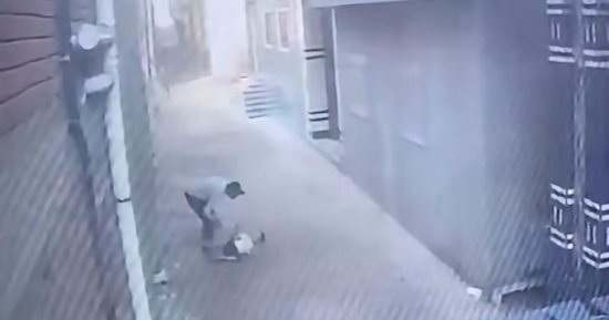 القبض على شخص تعدى بالضرب على طفل فى ميت تمامة بالدقهلية.. فيديو
