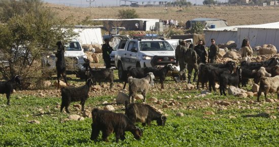 "بتسيلم": 47 عائلة فلسطينية تواجه خطر التهجير الوشيك فى الإغوار