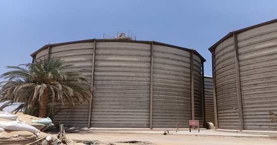 أسوان تكسر حاجز النصف مليون طن من القمح المحلى وصرف مستحقات المزارعين.. صور
