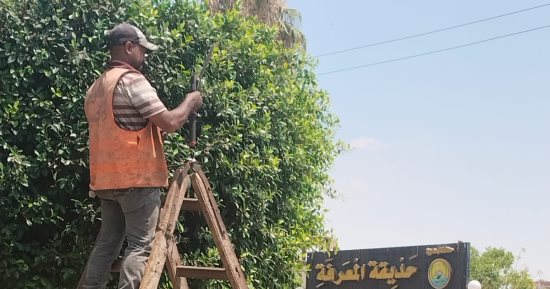 جهاز التطوير والتجميل يواصل رفع كفاءة حدائق وميادين الإسماعيلية