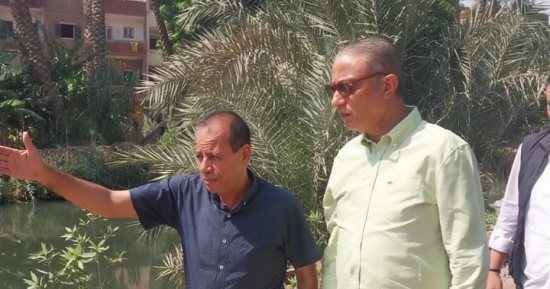 محافظ الجيزة: زراعة 3350 شجرة بأبو النمرس ضمن مبادرة ازرع شجرة