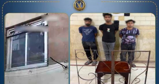 ضبط 3 أشخاص لتعديهم على عمتهم وسرقتها بالشرقية.. فيديو    