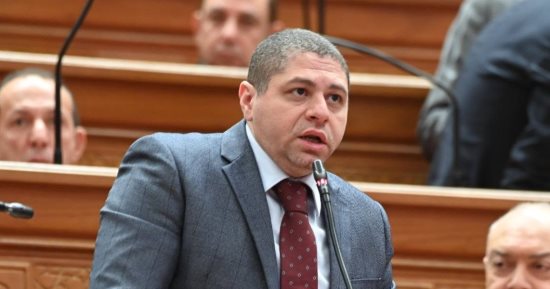 أحمد جبيلي: تأسيس "الفجيرة العلمين" خطوة مهمة لتعزيز التعاون المصري الإماراتي