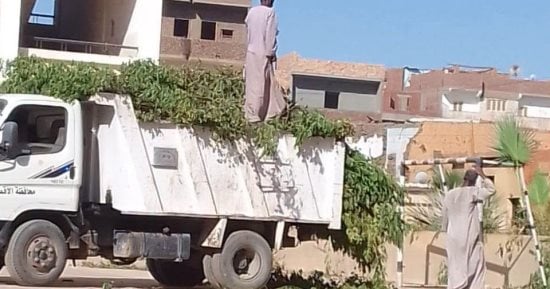 صورة الخبر