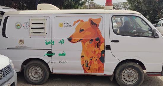 السويس تبدأ التشغيل التجريبي لمنظومة إيواء الكلاب الحرة.. شلتر بطاقة استيعابية تصل لـ400 كلب