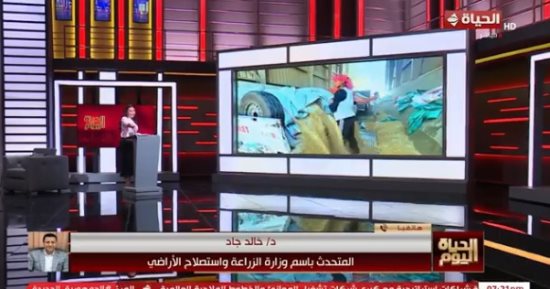 الزراعة لـ الحياة اليوم: إنتاج القمح يتجاوز 10 ملايين طن لأول مرة في مصر