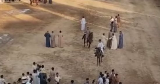 على ظهر الجمال والخيول.. بهجة المولد في قرى الأقصر بشكل مختلف.. فيديو