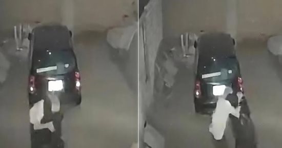 بينهم سيدة "السوبلكس".. ضبط طرفي مشاجرة القليوبية بسبب خلافات سابقة
