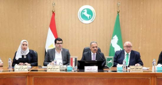 إلغاء الفقرات الفنية بالعيد القومي للشرقية حدادًا على شهداء لقمة العيش