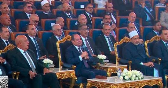 برلمانية تطالب الحكومة بترجمة توجيهات الرئيس السيسى إلى خطط تنفيذية واضحة