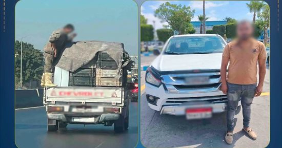 ضبط قائد سيارة ربع نقل لسيره دون ربط حمولة السيارة