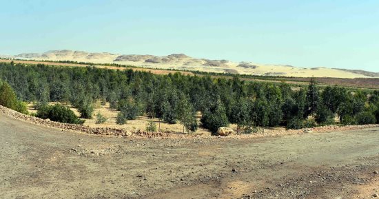 رئيس مياه سوهاج: تأجير 29 مشروعا لاستغلال الأصول بنظام حق الانتفاع