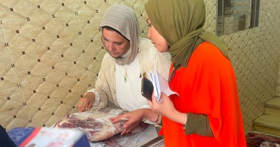 ضبط لحوم غير صالحة للاستهلاك فى حملات مكثفة على محلات الجزارة بالمنصورة
