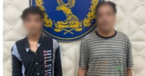 الداخلية تضبط جزارا وشقيقه لتعديهما على والدتهما فى السيدة زينب