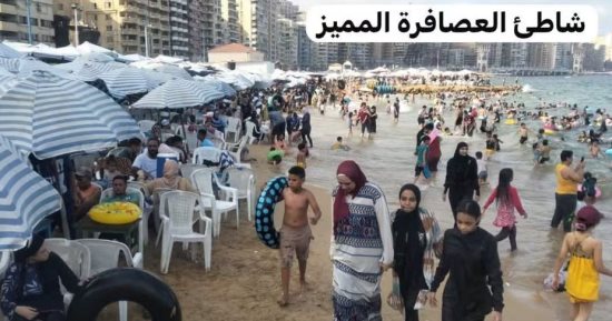 الجمعة الأخيرة من أغسطس.. شواطئ الإسكندرية كاملة العدد.. نسب الإشغال تتراوح بين 80 و100%.. أنشطة ترفيهية على شاطئ أبطال التحدي.. إعادة تشغيل شاطئي أبو هيف وخالد بن الوليد..  صور