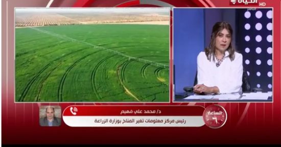 رئيس مركز تغير المناخ لـ الساعة 6: الدولة تحمي مصر من مخاطر نقص القمح