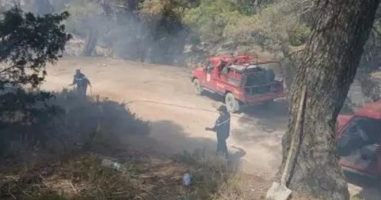 الجيش الجزائرى يتدخل جوا وبرا للمساهمة فى إخماد حرائق جيجل والطارف