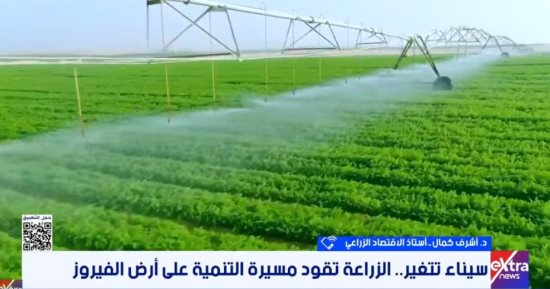 أستاذ اقتصاد: سيناء تتحول إلى قاعدة للإنتاج والتصدير