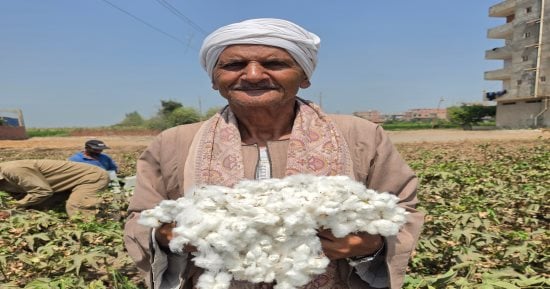 صورة الخبر