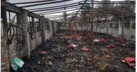 نشوب حريق هائل فى مزرعة دواجن بالمحلة