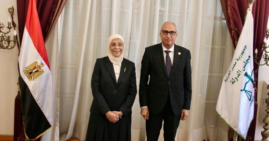 رئيسة النيابة الإدارية تزور رئيس مجلس الدولة لتهنئته بتوليه منصبه