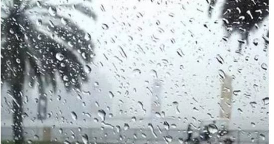 "المطر مش للسواحل بس" الخريف يبدأ مبكرًا.. لماذا تتسع رقعة سقوط الأمطار؟.. مركز المناخ يحذر المزارعين من "الرى التلقائى" و يحدد قواعد التعامل مع المحاصيل