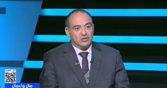 خبير اقتصادي: المنتجات الغذائية المصرية تعزز حضورها عالميا