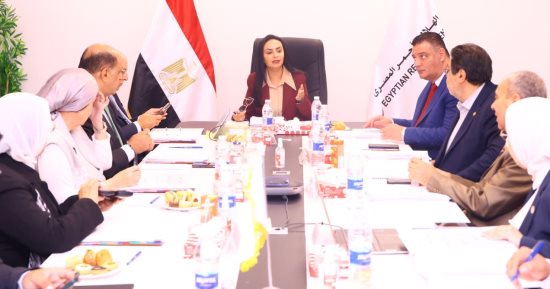 وزيرة التضامن تستعرض جهود مصر فى تقديم المساعدات لغزة