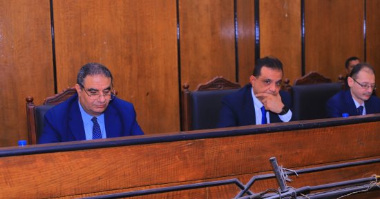 العدالة الناجزة.. إحالة المتهم بالتعدى على  طفلة بالشرقية للمفتي