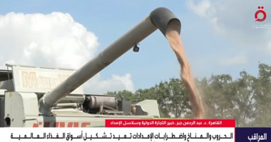 خبير تنمية مستدامة: تخزين الغذاء عالميا أدى لندرة المواد الغذائية المعروضة