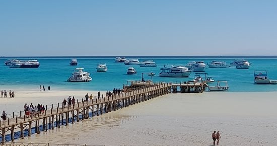 رحلات السفاري البحري في البحر الأحمر.. مغامرة استثنائية تجذب آلاف السياح الأوروبيين لاكتشاف الجزر البكر ومواقع الغوص البعيدة.. ومشاهدة الدلافين والقروش وكهوف الشعاب المرجانية في أعماق البحر.. صور