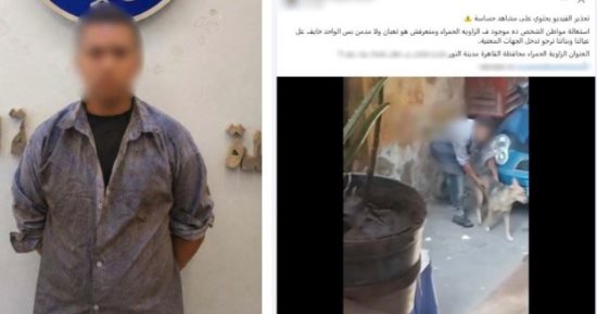 الداخلية تكشف ملابسات تعدي شخص على كلب
