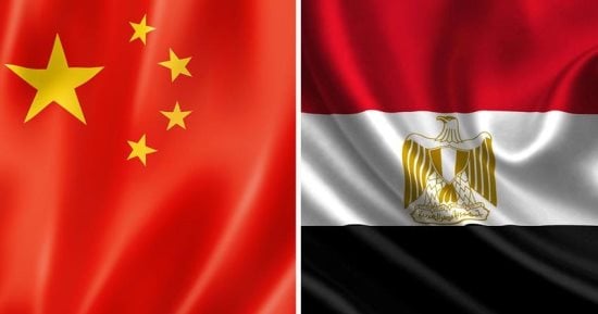 تعاون مصرى صينى لتطوير تقنيات الكشف عن ملوثات الغذاء