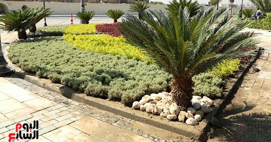 تشجير وميادين خضراء.. تطوير محيط مسجد السيدة عائشة وسور مجرى العيون
