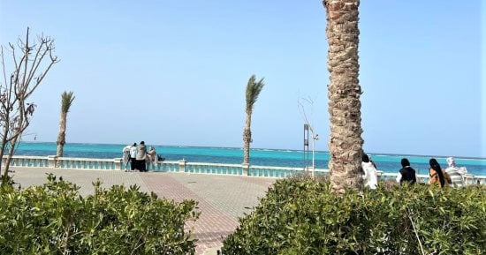 صورة الخبر