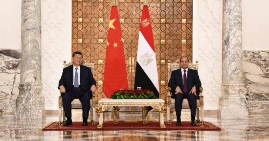 الجبهة الوطنية: زيارة الرئيس الصينى لمصر تعكس عمق الشراكة سياسيا واقتصاديا