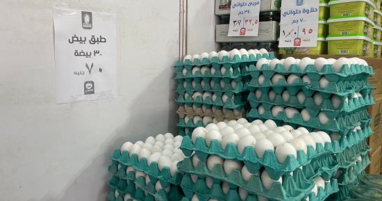 طرح كرتونة البيض بـ70 جنيها فى معرض أهلاً مدارس بشارع فيصل