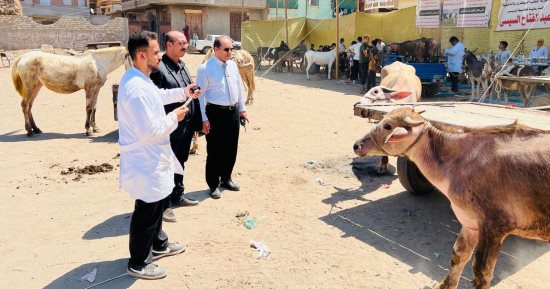 محافظ الدقهلية يتابع أعمال القافلة البيطرية الشاملة بقرية البشنيني بالسنبلاوين