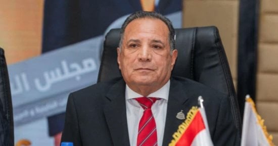 رئيس "الشئون العربية بالنواب": الوعي ركيزة أساسية وحائط صد لحماية استقرار مصر