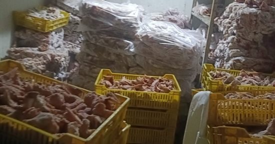ضبط 70 طن لحوم ومقطعات وهياكل دواجن فاسدة بالجيزة
