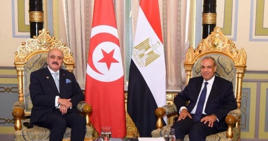 وزير الخارجية يؤكد أهمية الدفع بتسوية شاملة في ليبيا بملكية وطنية