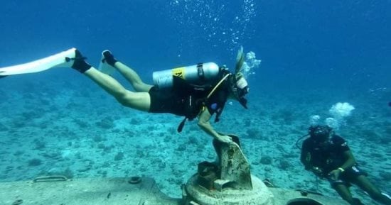مغامرات الغوص فى البحر الأحمر.. استمتاع السياح بجمال محمية الجزر الشمالية 
