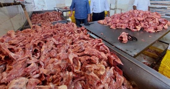 ضبط 7 أطنان مخلفات دواجن قبل استخدامها فى تصنيع البرجر واللانشون بالجيزة
